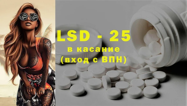 PSILOCYBIN Няндома