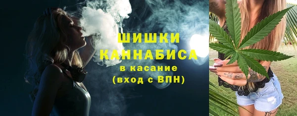PSILOCYBIN Няндома