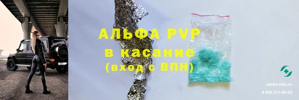 PSILOCYBIN Няндома