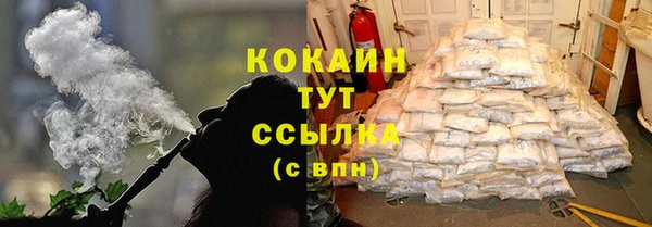 PSILOCYBIN Няндома