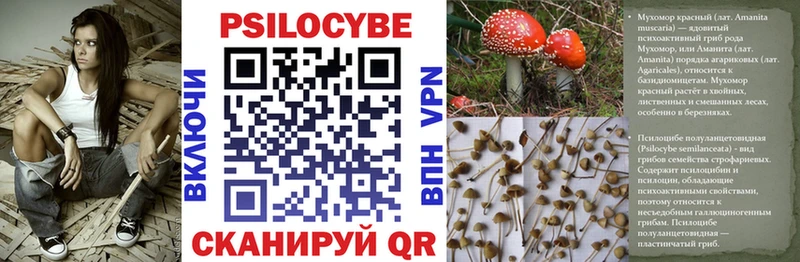 Псилоцибиновые грибы Psilocybine cubensis  hydra сайт  нарко площадка наркотические препараты  Октябрьск 